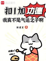 小说《扣1加功德，我真不是气运之子啊》封面