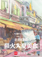 小说《北欧摆摊，带火大夏美食》封面