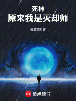 小说《死神：原来我是灭却师》封面