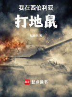 小说《我在西伯利亚打地鼠》封面