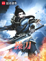 小说《操刀》封面