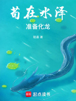 小说《苟在水泽，准备化龙》封面