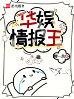 小说《华娱情报王》封面