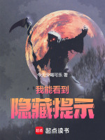 小说《我能看到隐藏提示！》封面