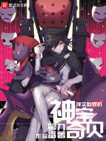小说《现实世界的神奇宝贝》封面