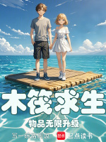 小说《木筏求生：物品无限升级》封面
