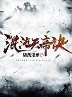 小说《混沌天帝诀》封面