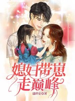 小说《媳妇带崽走巅峰》封面