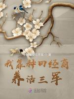 小说《我靠种田经商养活三军》封面