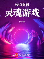小说《欢迎来到灵魂游戏》封面