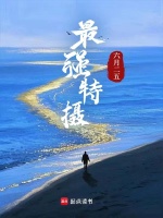 小说《最强特摄》封面