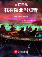 小说《火红年代，我在陕北当知青》封面