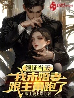 小说《领证当天，我未婚妻跟主角跑了》封面