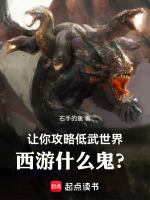 小说《让你攻略低武世界，西游什么鬼？》封面