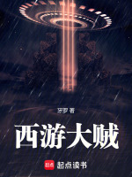 小说《西游大贼》封面