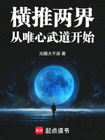 小说《这个高武太癫了》封面
