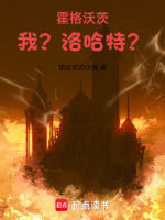 小说《霍格沃茨：我？洛哈特？》封面