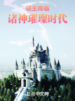 小说《领主降临：诸神璀璨时代》封面