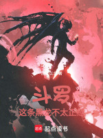 小说《斗罗：这条黑龙不太正经》封面