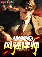 小说《人在北美，风骚律师》封面