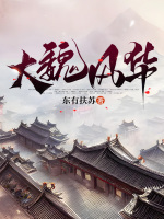 小说《大魏风华》封面