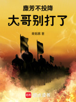 小说《麋芳不投降：大哥别打了！》封面