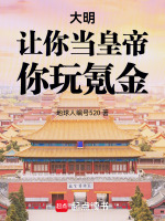 小说《大明：让你当皇帝，你玩氪金！》封面