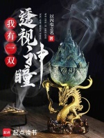 小说《我有一双透视神瞳》封面