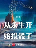 小说《从永生开始投骰子》封面