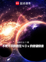 小说《不死不灭的我在40k的绝望旅途》封面