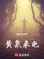 小说《黄泉来电》封面