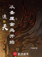 小说《遮天：从圣崖金乌开始》封面