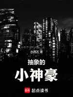 小说《抽象的小神豪》封面