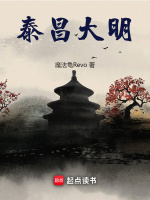 小说《泰昌大明》封面