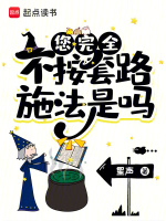 小说《您完全不按套路施法是吗》封面