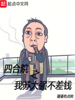 小说《四合院之我苏大强不差钱》封面