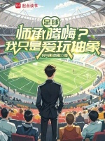 小说《足球：师承腾嗨？我只是爱玩抽象》封面