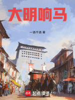 小说《大明响马》封面