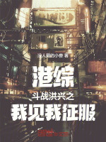 小说《港综：斗战洪兴之我见我征服》封面