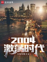 小说《2004激荡时代》封面