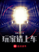 小说《玩家请上车》封面
