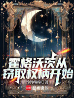 小说《在HP的悠然巫师路》封面