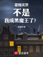 小说《霍格沃茨：不是，我成黑魔王了？》封面