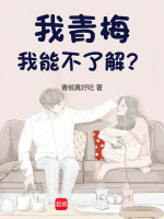 小说《我青梅，我能不了解？》封面