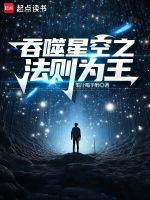 小说《吞噬星空之法则为王》封面
