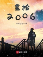 小说《重拾2006》封面