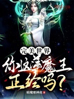 小说《完美世界：你这蒲魔王正经吗？》封面