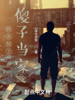 小说《四合院之傻子当家》封面
