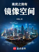 小说《高武之我有镜像空间》封面