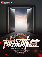 小说《神探陈益》封面